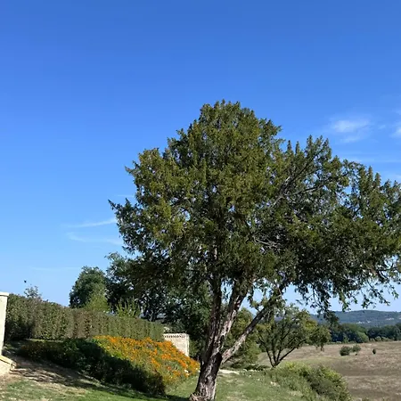 Chartreuse De Fareyroux * Saint-Astier (Dordogne)