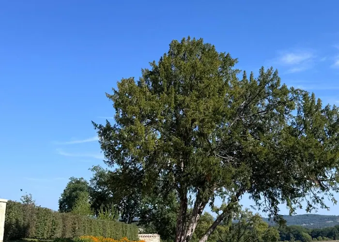 Chartreuse De Fareyroux * Saint-Astier (Dordogne)